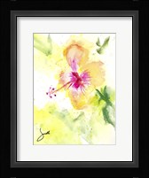 Hibiscus Fine Art Print