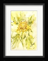 Single Daffodil Fine Art Print