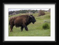 Enter the Badlands 3 Fine Art Print