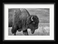 Enter the Badlands B&W 2 Fine Art Print