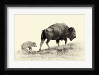 Badlands Antique 6 Fine Art Print