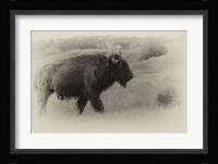Badlands Antique 12 Fine Art Print