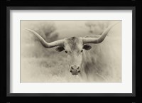 Badlands Antique 14 Fine Art Print