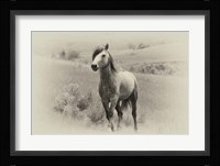 Badlands Antique 15 Fine Art Print