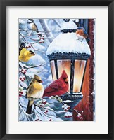 Taking the Chill off the Feathers Fine Art Print