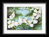 A Branch of Dogwood Fine Art Print
