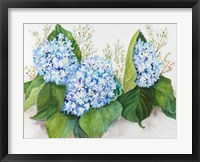 Hydrangea and Wax Flower Fine Art Print