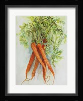 Carrots Fine Art Print