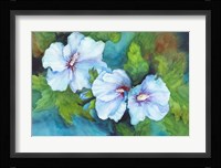 Hibiscus with Red Centers Fine Art Print