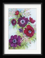 Anemonies and Waxflower Fine Art Print