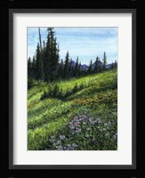 Alpine Treasures Fine Art Print
