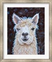 Alpaca Fine Art Print