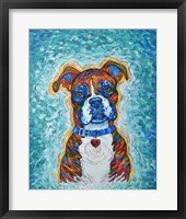 Boxer Fine Art Print