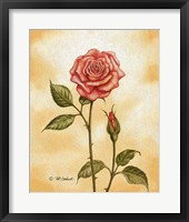 Rose on Peach Fine Art Print