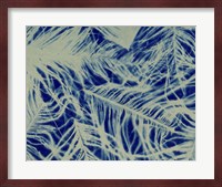 Textures in Blue IV Fine Art Print