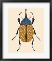 Beetle Bug II Framed Print