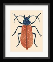 Beetle Bug III Framed Print