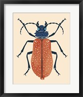 Beetle Bug III Framed Print