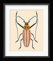 Beetle Bug IV Framed Print
