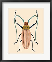 Beetle Bug IV Framed Print
