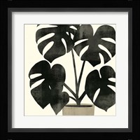 Plantling II Fine Art Print