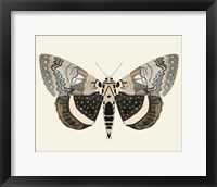Neutral Moth I Fine Art Print
