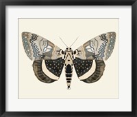 Neutral Moth I Framed Print