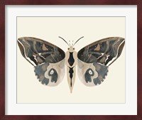 Neutral Moth II Fine Art Print
