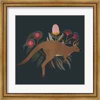 Australian Animals III Fine Art Print