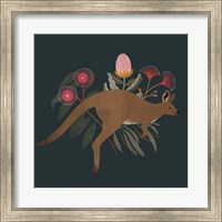 Australian Animals III Fine Art Print