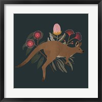 Australian Animals III Fine Art Print