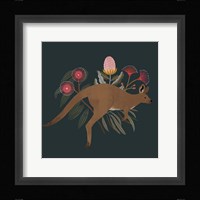 Australian Animals III Fine Art Print