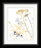 Summer's Souvenir I Framed Print