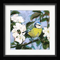 Perching I Framed Print