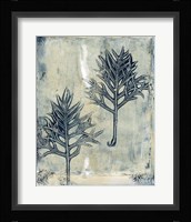 Presence of Nature IV Framed Print