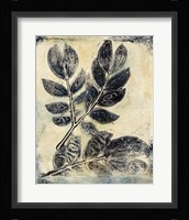Presence of Nature V Framed Print
