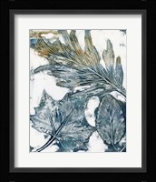 Presence of Nature VI Framed Print