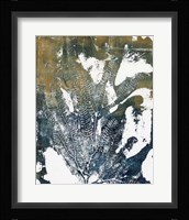Presence of Nature VII Framed Print
