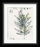 Presence of Nature VIII Framed Print