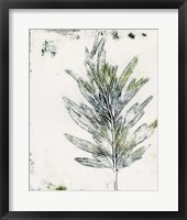 Presence of Nature VIII Framed Print