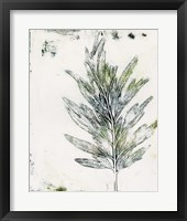 Presence of Nature VIII Framed Print