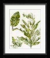 Presence of Nature IX Framed Print