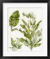 Presence of Nature IX Framed Print