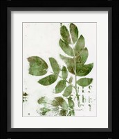 Presence of Nature X Framed Print