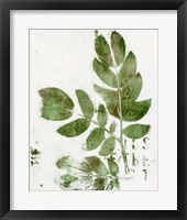 Presence of Nature X Framed Print