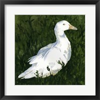 Lone Duck I Fine Art Print