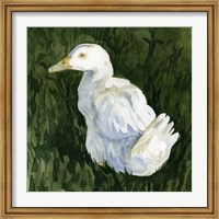 Lone Duck II Fine Art Print