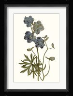 Soft Blue Botanicals V Framed Print