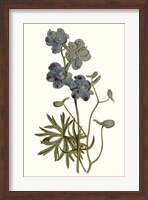 Soft Blue Botanicals V Fine Art Print