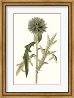 Soft Blue Botanicals VI Fine Art Print
